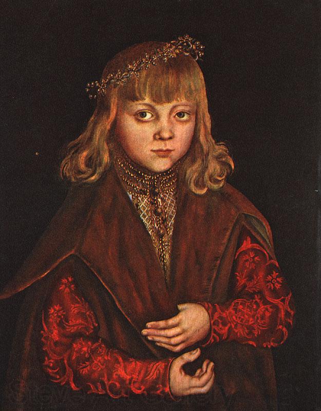 CRANACH, Lucas the Elder A Prince of Saxony dfg